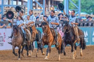 FU16_D850-3659-Editar-Medio-300x200 Vitória vem do coração e coroa Gap Orfeu e Guerreira da Pavei no Bocal de Ouro