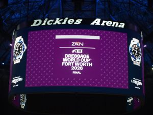 MV112609-Medio-300x225 FREESTYLE ADESTRAMENTO EM FORT WORTH