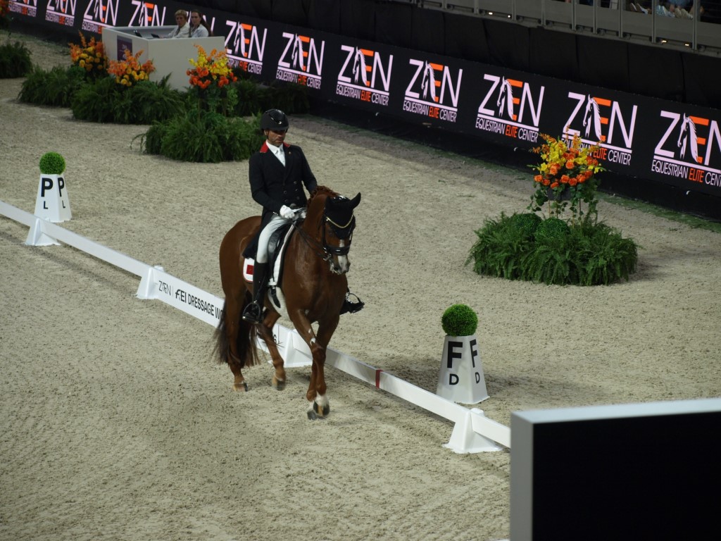 MV112628-Medio FREESTYLE ADESTRAMENTO EM FORT WORTH