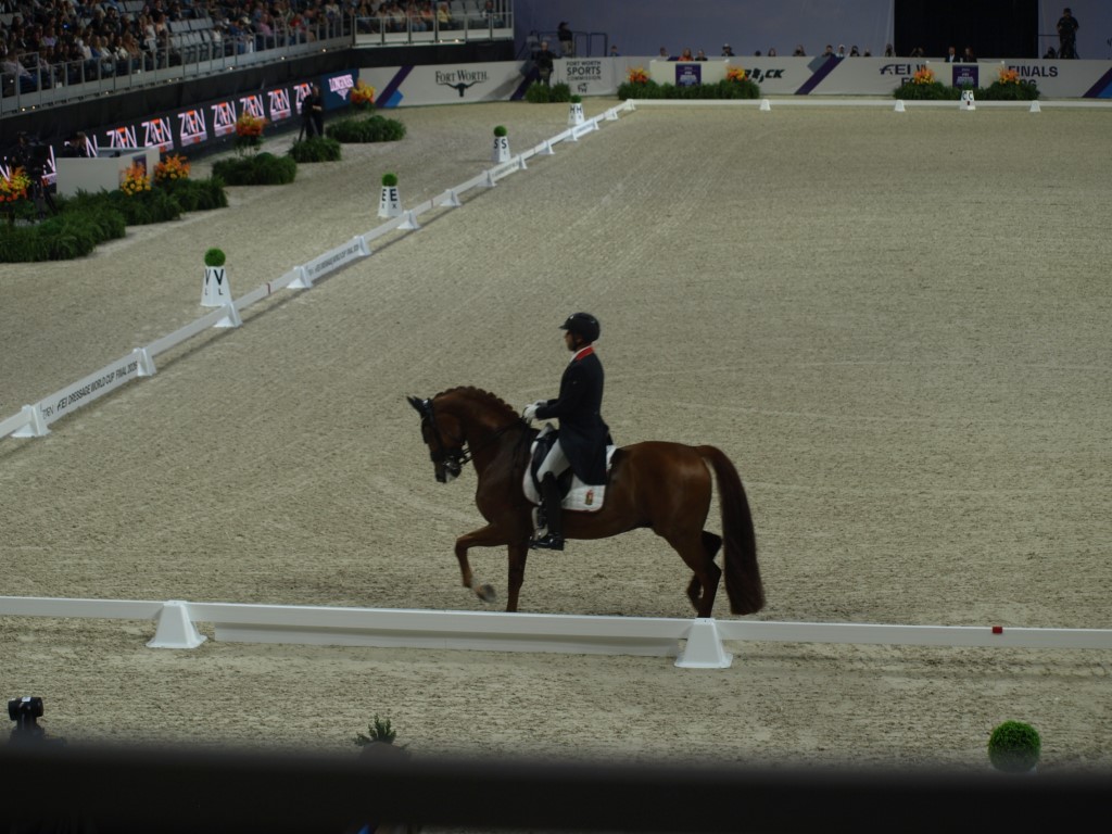 MV112629-Medio FREESTYLE ADESTRAMENTO EM FORT WORTH