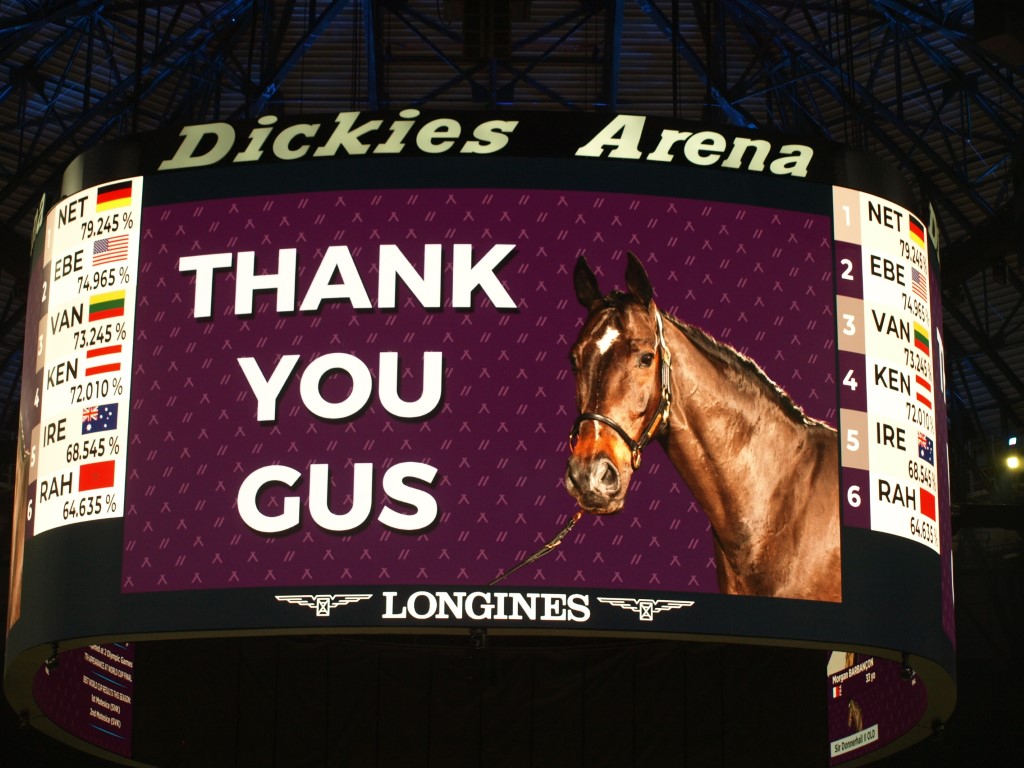 MV112732-Medio FREESTYLE ADESTRAMENTO EM FORT WORTH