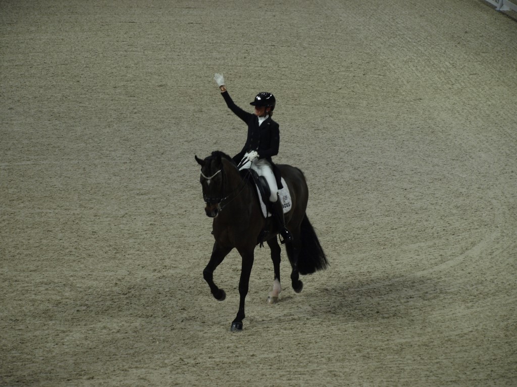 MV112735-Medio FREESTYLE ADESTRAMENTO EM FORT WORTH