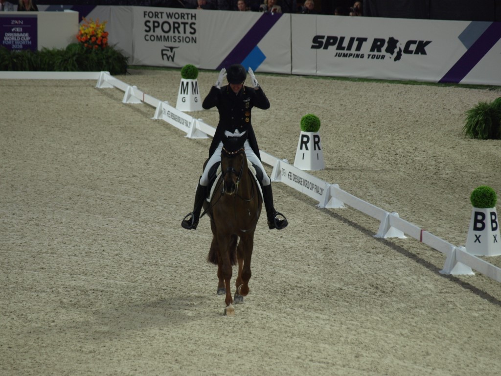 MV112763-Medio FREESTYLE ADESTRAMENTO EM FORT WORTH