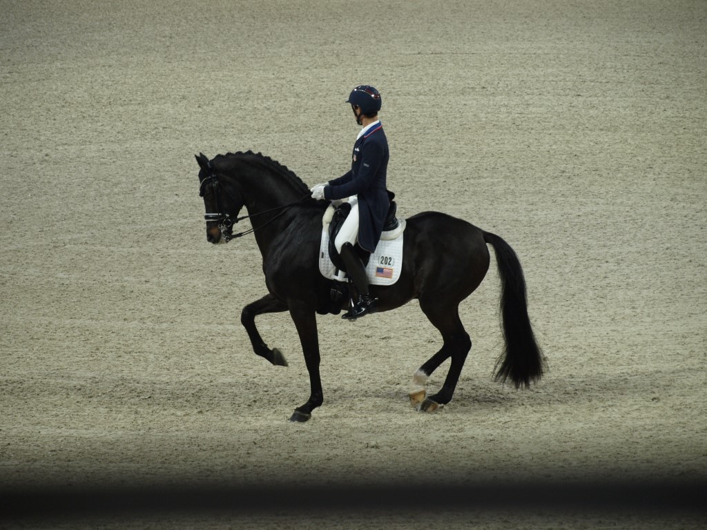 MV112793-Medio FREESTYLE ADESTRAMENTO EM FORT WORTH