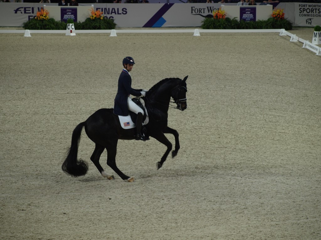 MV112805-Medio FREESTYLE ADESTRAMENTO EM FORT WORTH