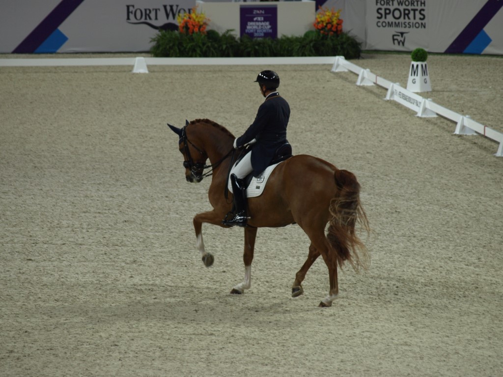 MV112813-Medio FREESTYLE ADESTRAMENTO EM FORT WORTH