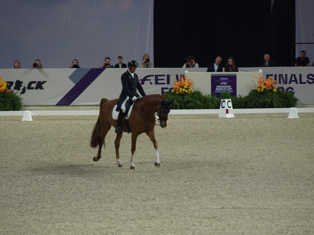 MV112818-Medio FREESTYLE ADESTRAMENTO EM FORT WORTH