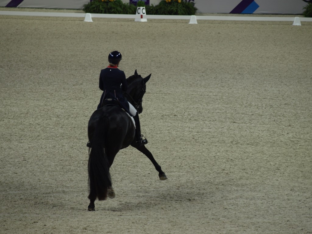 MV112850-Medio FREESTYLE ADESTRAMENTO EM FORT WORTH