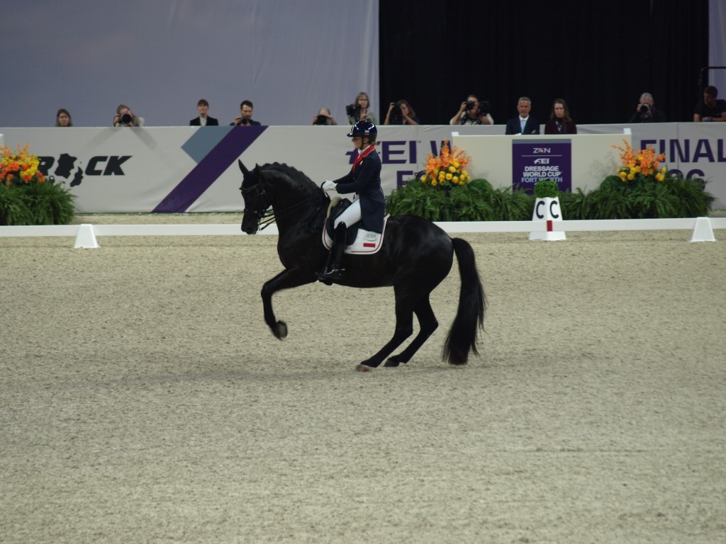 MV112857-Medio FREESTYLE ADESTRAMENTO EM FORT WORTH