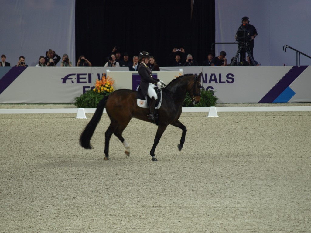 MV112871-Medio FREESTYLE ADESTRAMENTO EM FORT WORTH