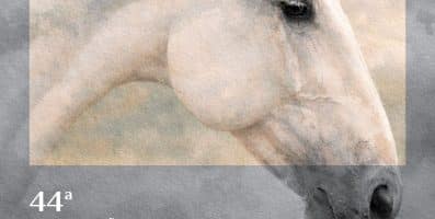 CONTAGEM REGRESSIVA PARA A 44ª EXPO INTERNACIONAL DO CAVALO PURO SANGUE LUSITANO.