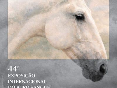 CONTAGEM REGRESSIVA PARA A 44ª EXPO INTERNACIONAL DO CAVALO PURO SANGUE LUSITANO.