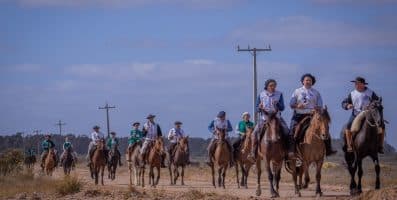 Marcha de Resistência do Cavalo Crioulo registra recorde de animais inscritos