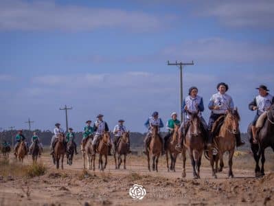 Marcha de Resistência do Cavalo Crioulo registra recorde de animais inscritos