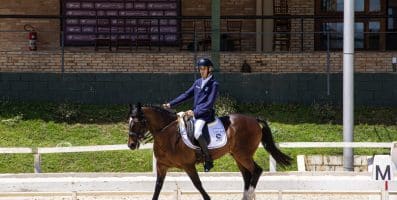 Cavalo Crioulo é presença confirmada no Mundial Paraequestre na Alemanha