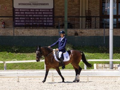 Cavalo Crioulo é presença confirmada no Mundial Paraequestre na Alemanha