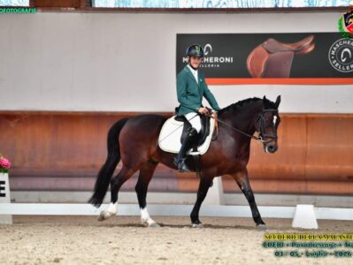 Paratleta paranaense leva Cavalo Crioulo ao principal palco do hipismo mundial 