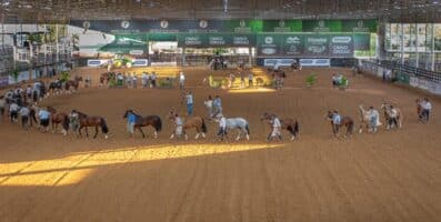 Prévia Morfológica leva 10 exemplares direto para a grande final na Expointer 2026