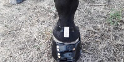 As botas para cascos