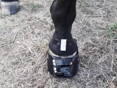 As botas para cascos