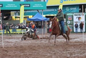 Cavalo Contra Moto - Crédito Gérson Jes Divulgação
