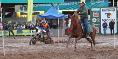 Participantes de provas do cavalo Mangalarga na Expointer disputam mais de R$ 100 mil em prêmios