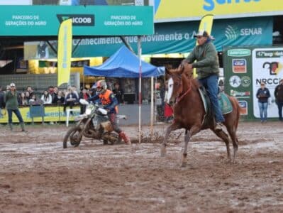 Participantes de provas do cavalo Mangalarga na Expointer disputam mais de R$ 100 mil em prêmios