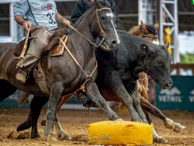 Cavalo Crioulo reúne Freio de Ouro, Morfologia e Supercopa Jovem em 12 dias de programação