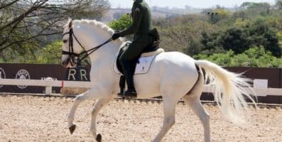 Mundial de Hipismo 2026