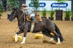 “Ando a cavalo desde os dois anos de idade. Meu objetivo quando crescer é ser treinador do Freio”, afirma Teixeira.