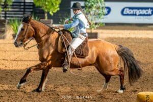 Isabelle Cidade de Souza e o macho LJG Forasteiro (Box 24). A dupla alcançou a maior média, chegando ao topo com 12.546 pontos.