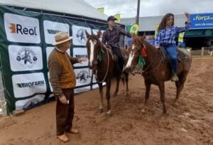 Vencedores Machos - Crédito Ieda Risco AgroEffective Divulgação (Pequeno)