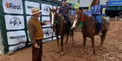 Fêmea de Cambará do Sul e macho de Gravataí são os grande campeões da raça Mangalarga