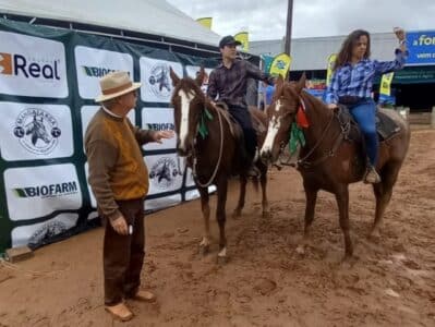 Fêmea de Cambará do Sul e macho de Gravataí são os grande campeões da raça Mangalarga