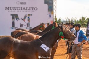 Mundialito da Costa Doce 