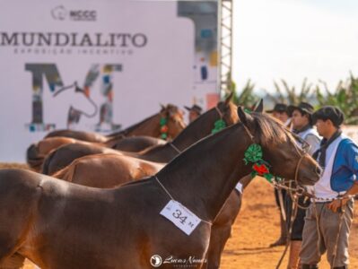 Mundialito da Costa Doce coloca mais R$ 95 mil em disputa