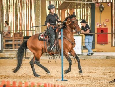 Cavalos Lusitanos confirmam protagonismo nas decisões dos títulos paulistas na Equitação de Trabalho