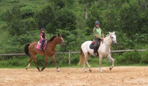 Avô e neta praticando hipismo