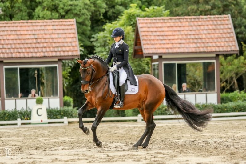 - Giovana Pass/Zíngaro de Lyw: terceiro índice para os Jogos Equestres Mundiais de Tryon 2018 (Foto: Luis Ruas/Divulgação)