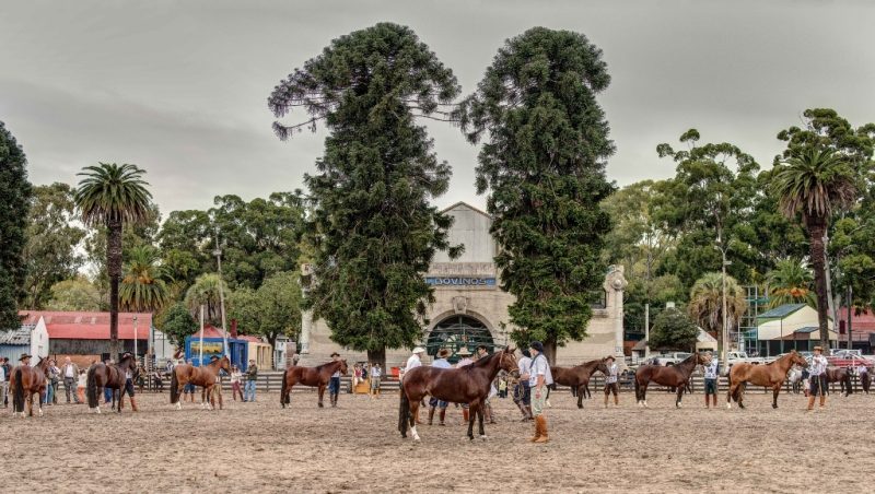 Classificatória em Montevidéu também promove integração entre brasileiros e uruguaios