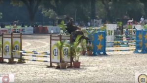 CHSA incidente com cavalo