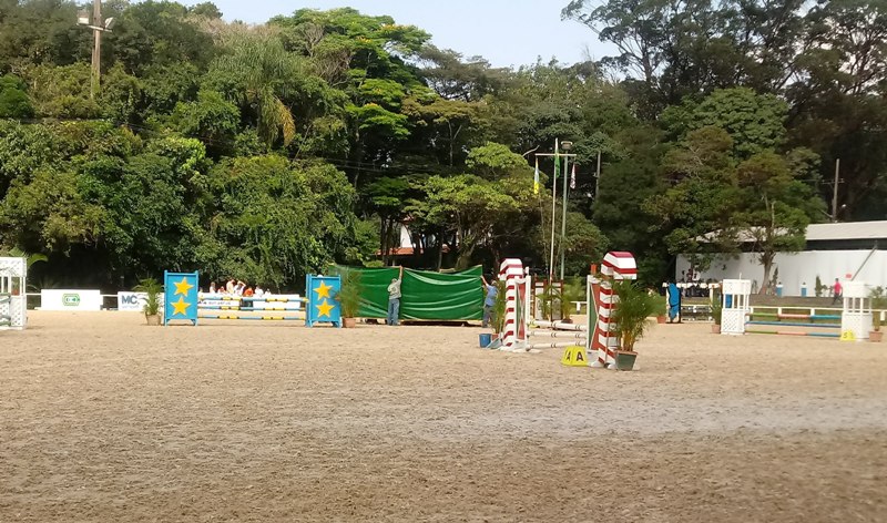CHSA incidente com cavalo