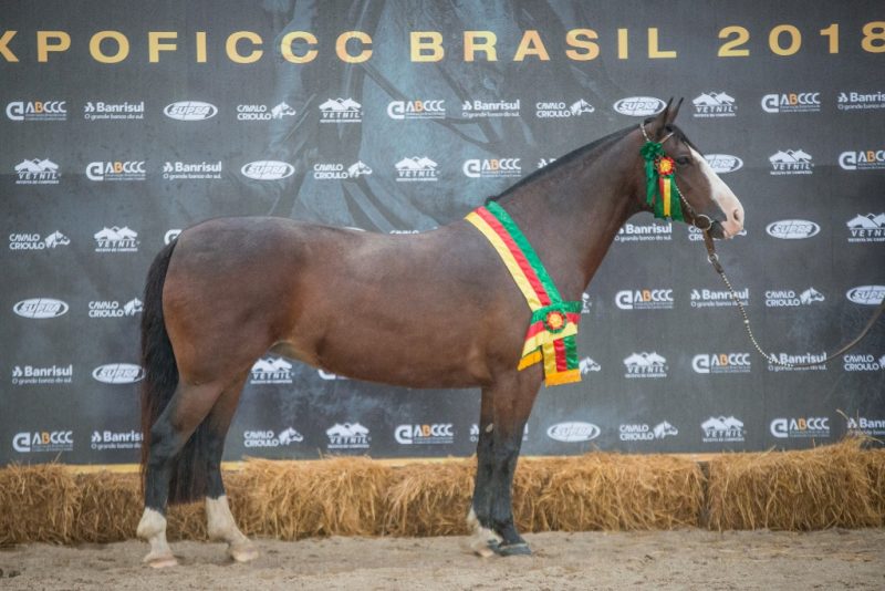 FICCC - Dinastia Cala Bassa - Crédito Fagner Almeida ABCCC