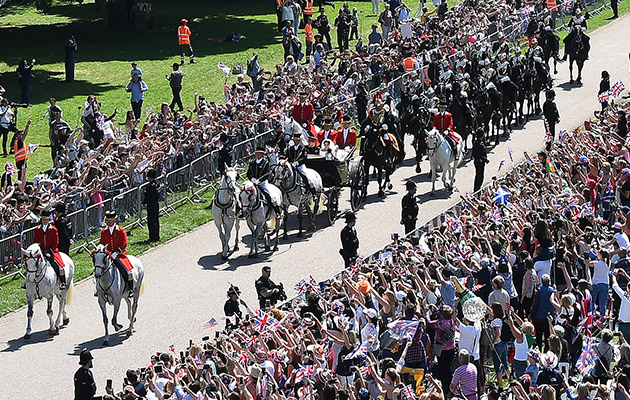 A frisky Windsor Grey — and five more horsey moments you may have missed from the royal wedding