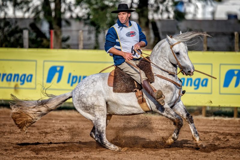 Freio de Ouro Uruguaiana - Madrugador 532 da Reconquista - Crédito Felipe Ulbrich ABCCC