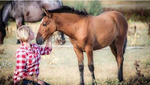 O Mustang Espanhol - HorseFlicks