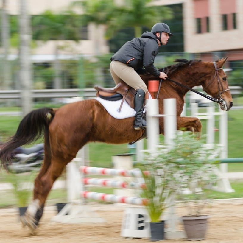 Raul e Passieur Jmen, Equilibre e Thaty Aulas Equitação