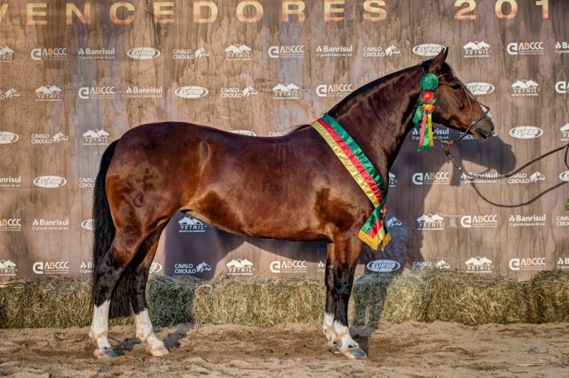 Convocada Cala Bassa - Crédito Felipe Ulbrich ABCCC