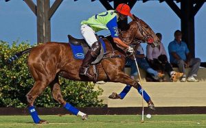 Gustavo Toledo - Guabi Polo