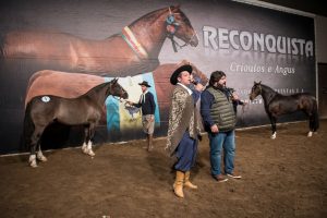Leilão Reconquista - Crédito Leandro Vieira